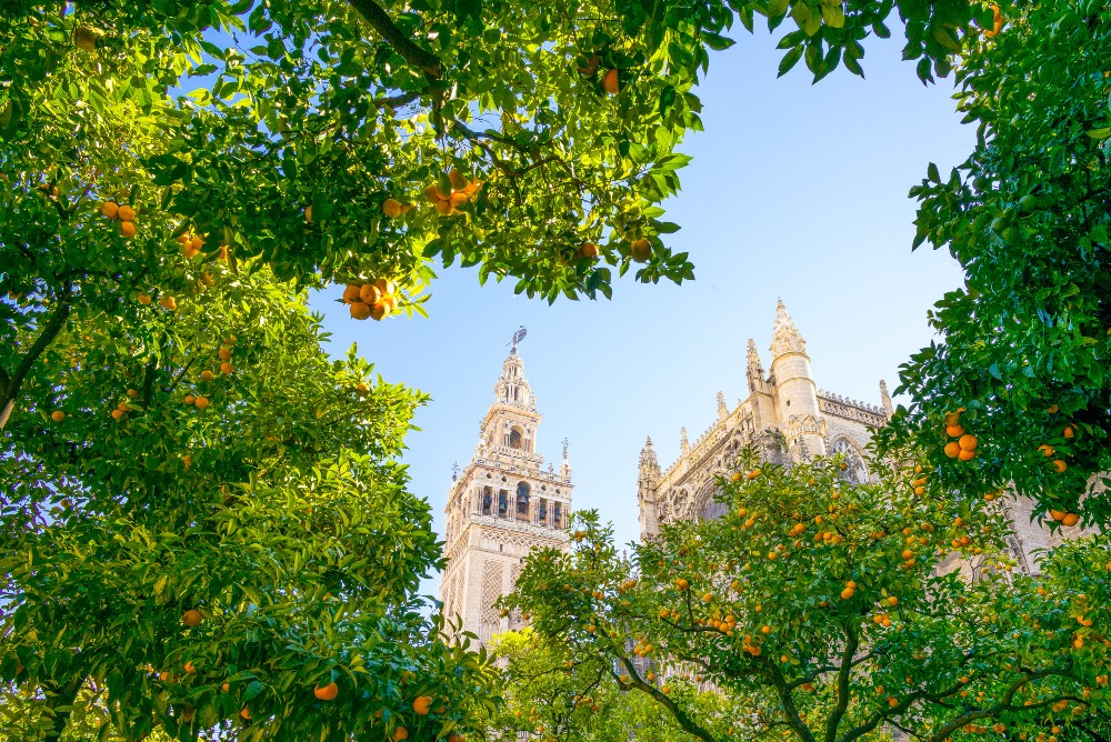 Seville Best Things to Do - Home of Tapas and Flamenco