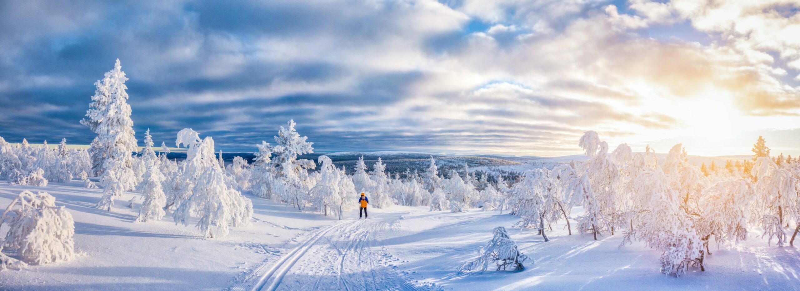 Lapland: Christmas All Year Round! Best Things to Do