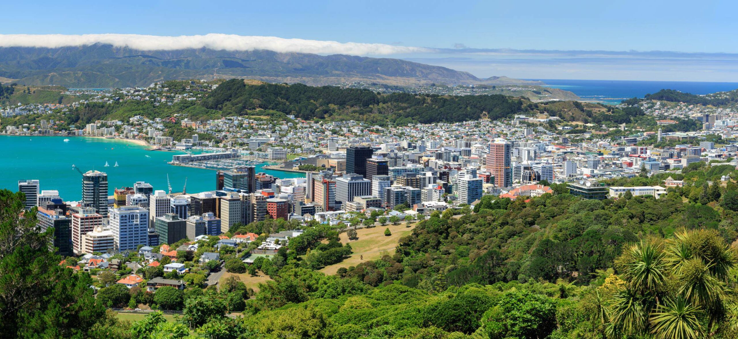 Wellington - Charming and Compact: New Zealand’s Delightful Capital