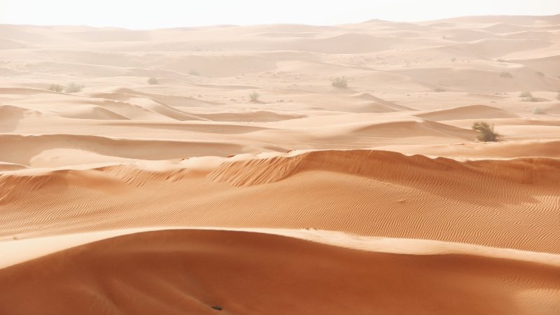 World Earth Day - Desert sands