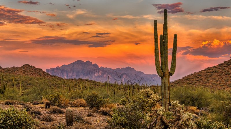 Phoenix Exploring The Desert City – Best Things to Do