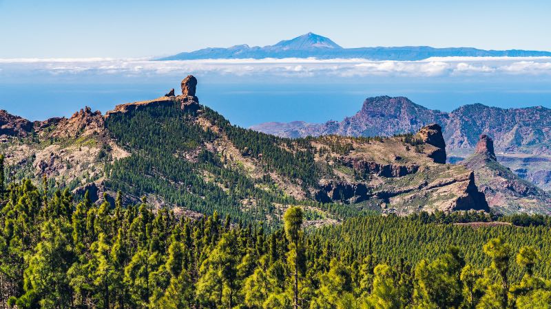Gran-Canaria-diverse-landscape